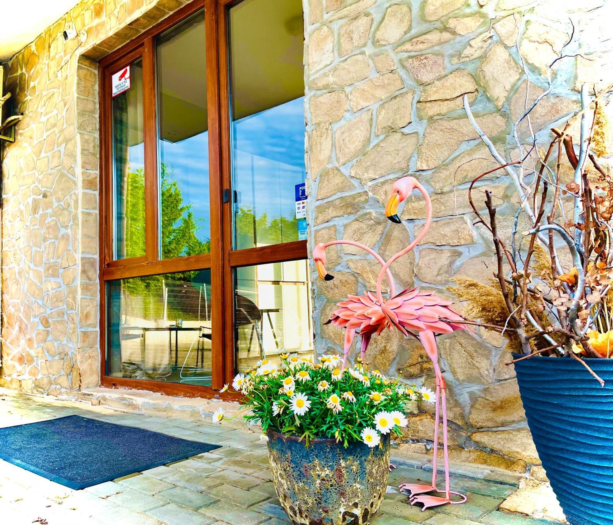 Stefaniya Apartments Sozopol Buitenkant foto